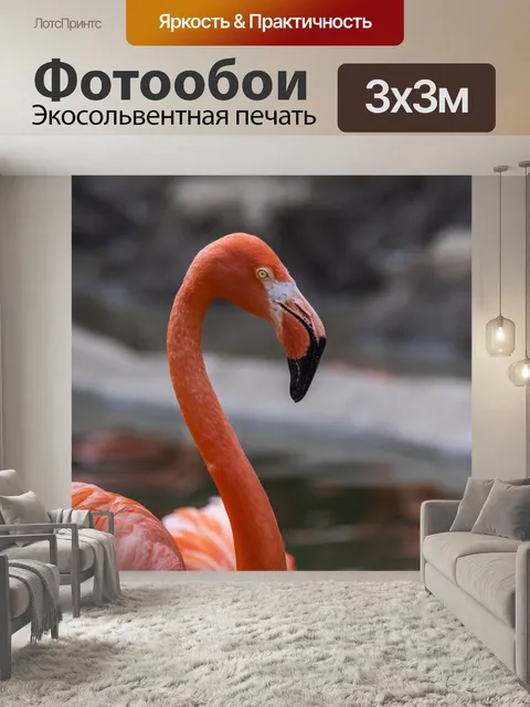 Фотообои розовый фламинго
