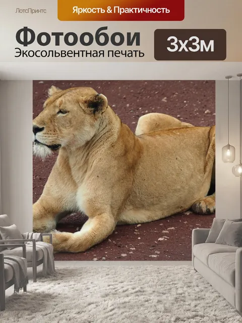 Фотообои Сафари