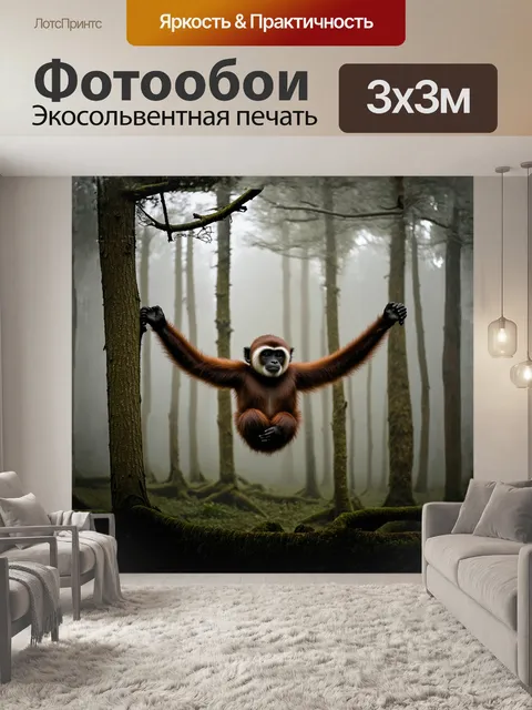 Фотообои в туманном утреннем лесу