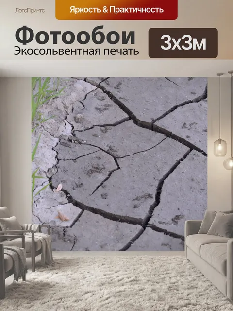 Фотообои Суша