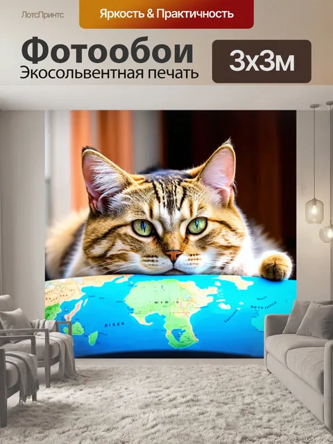 Фотообои коты, которые мечтают о путешествиях по миру