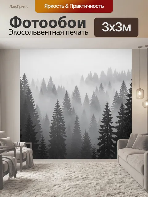 Фотообои Туманный хвойный лес в серых тонах