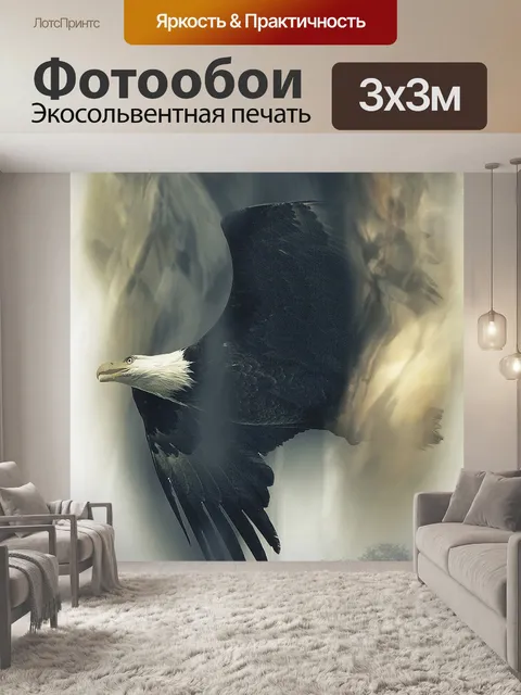 Фотообои Белоголовый орлан