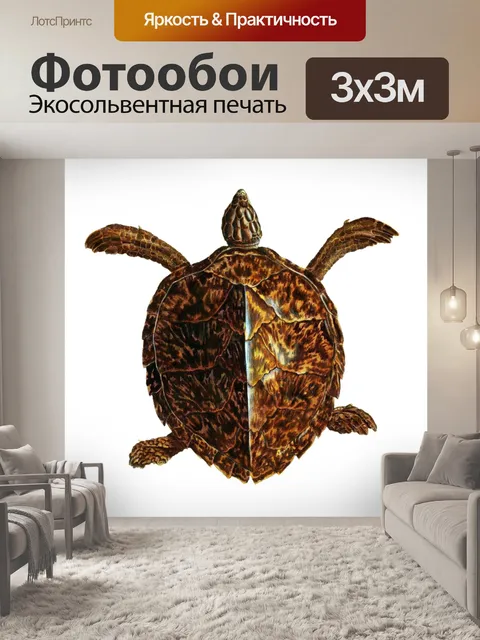 Фотообои Винтаж искусство черепахи клипарт