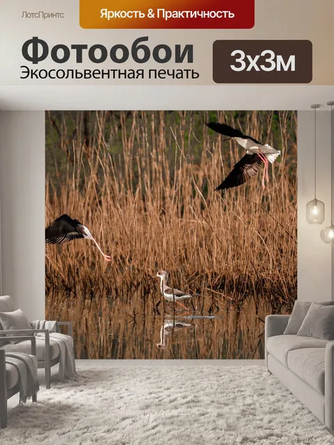 Фотообои Птицы