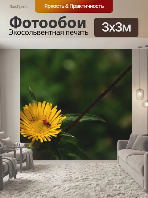 Фотообои Желтый полевой цветок с красной божьей к