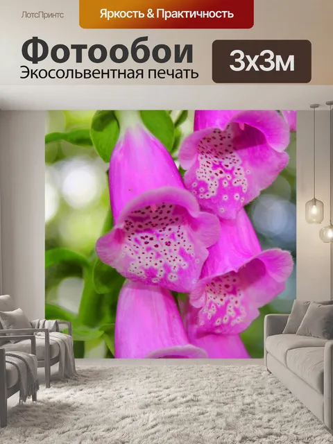 Фотообои Наперстянка пурпурная - Наперстянка