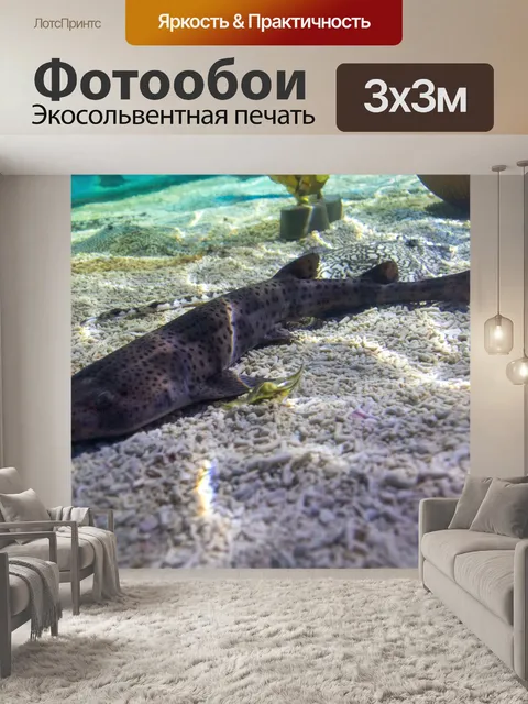 Фотообои Маленькая пятнистая кошачья акула