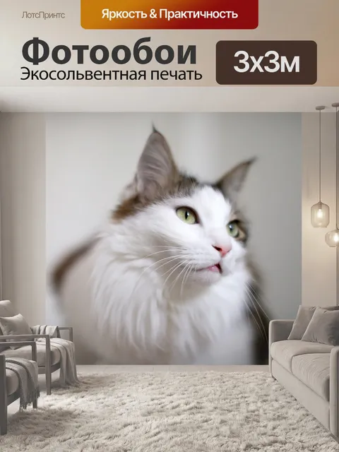 Фотообои Кошка