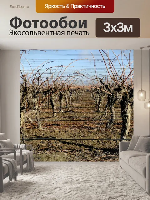 Фотообои Голые Сады