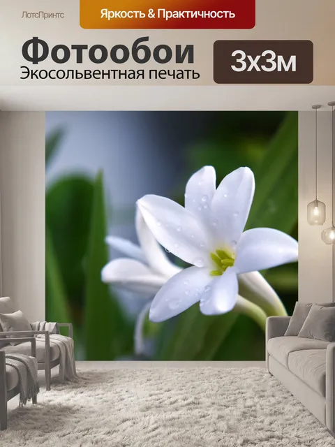 Фотообои Рыбный цветок 3