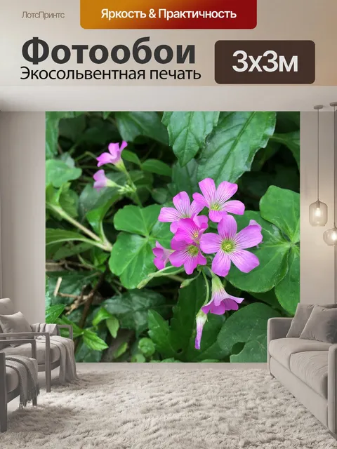Фотообои Маленький