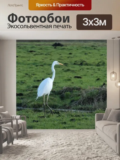 Фотообои Белая цапля