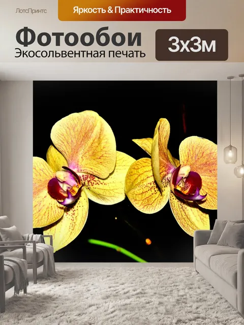 Фотообои Орхидея