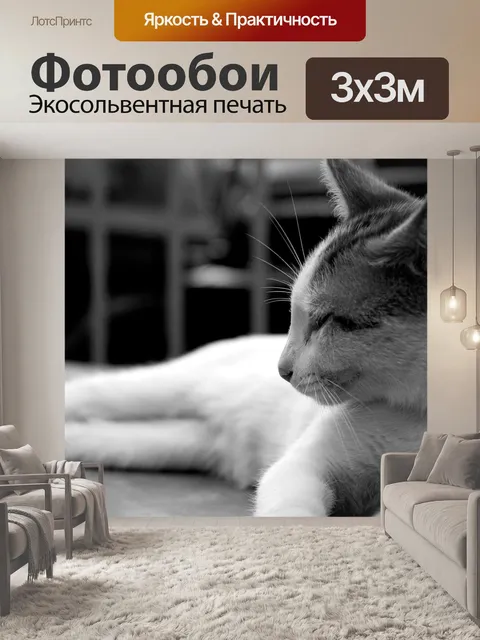 Фотообои Кот