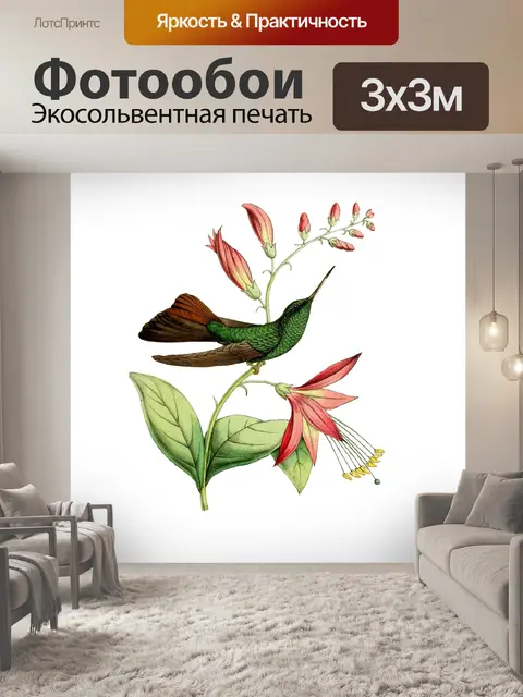 Фотообои Колибри Винтажное Искусство