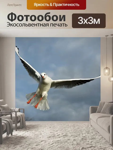 Фотообои Птицы