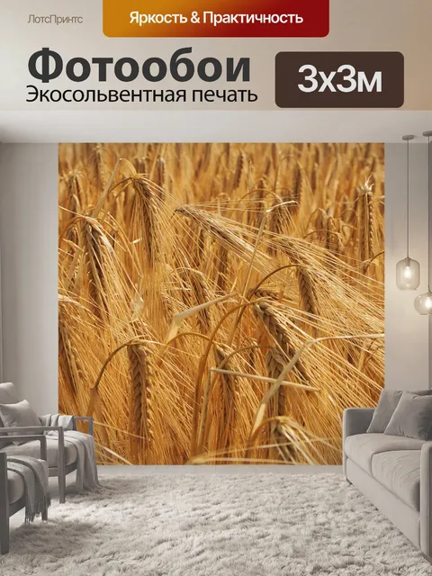 Фотообои Пшеница