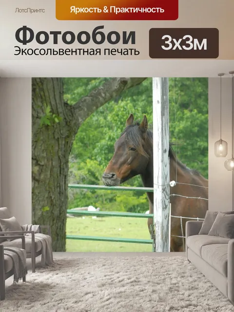 Фотообои Лошадь