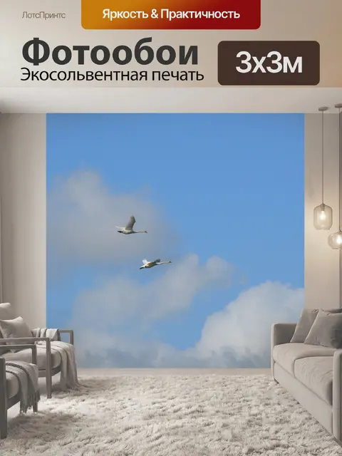 Фотообои Fly 4