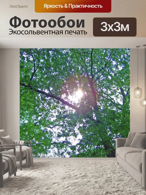 Фотообои Солнце сквозь деревья