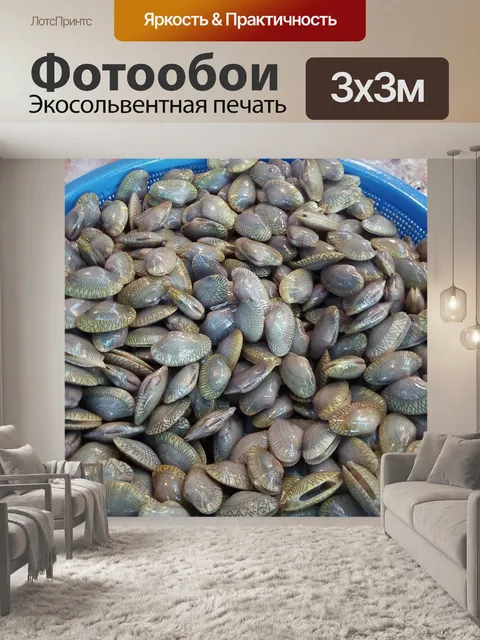 Фотообои Shell рыбу в корзину