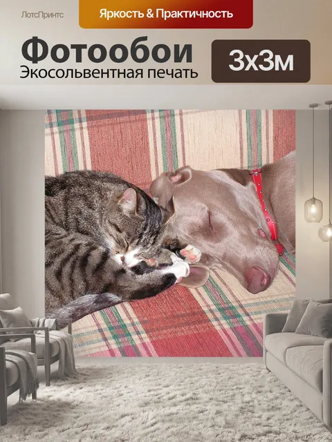 Фотообои Собака