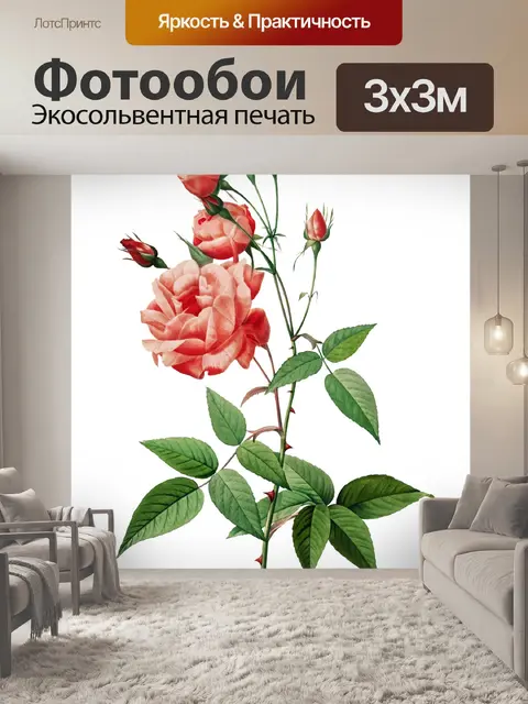 Фотообои Роза цветок старинная картина