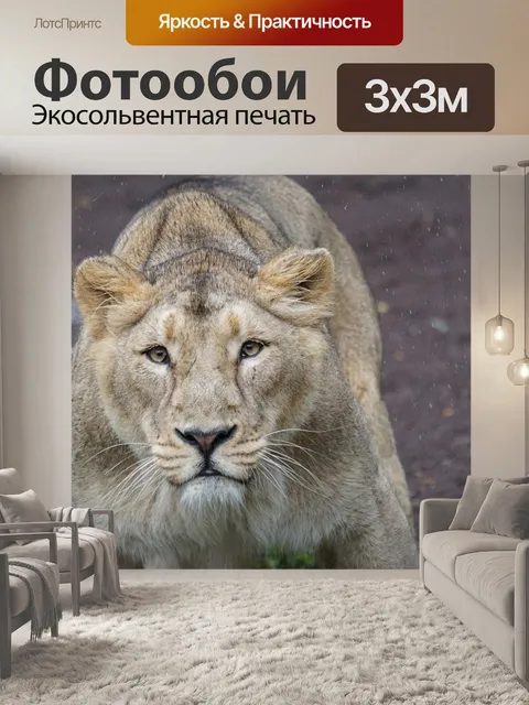 Фотообои Лев