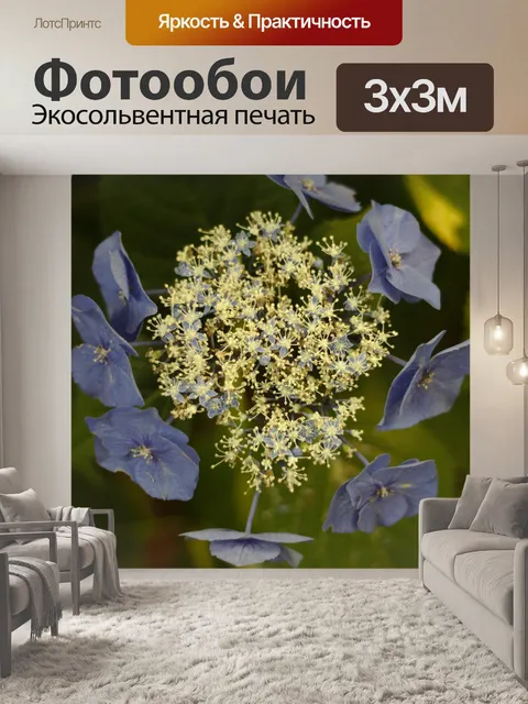 Фотообои Белые синие цветы