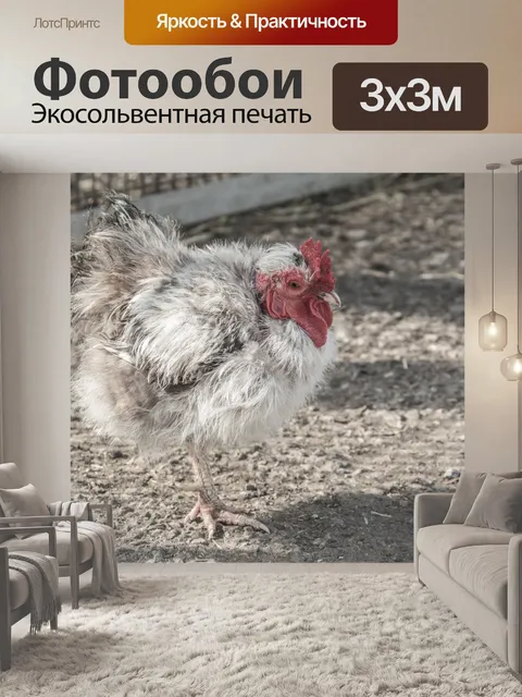 Фотообои Цыпленок на ферме