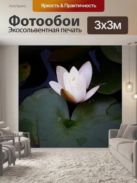 Фотообои Лили