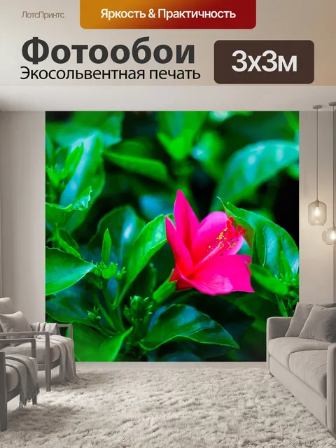 Фотообои Розовый натуральный цветок