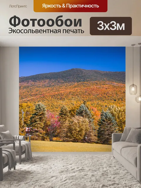Фотообои Осенний лесной пейзаж