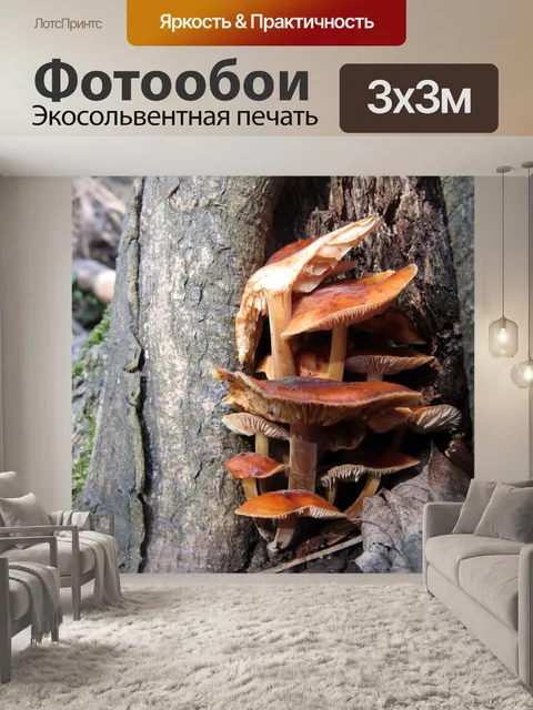 Фотообои Грибок