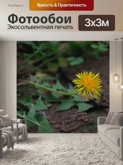 Фотообои желтый цветок одуванчика на растении