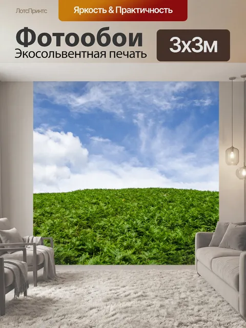 Фотообои Зеленый папоротники и голубое небо