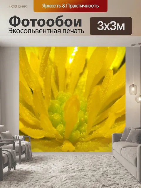 Фотообои Кнопка золото