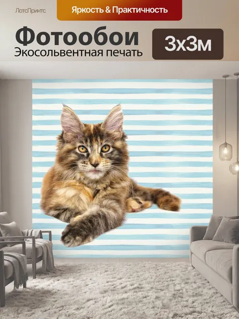Фотообои Кот, Мейн-кун