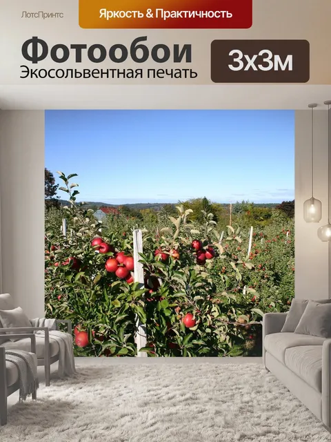 Фотообои Яблоневый сад