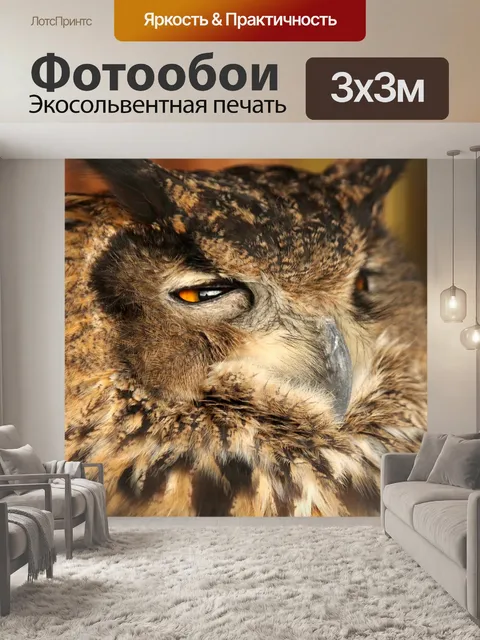 Фотообои Филин