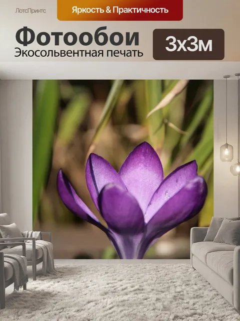 Фотообои Цветок