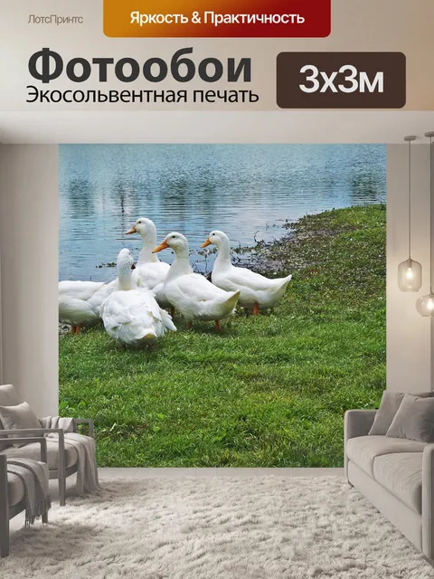 Фотообои Озеро минго утки