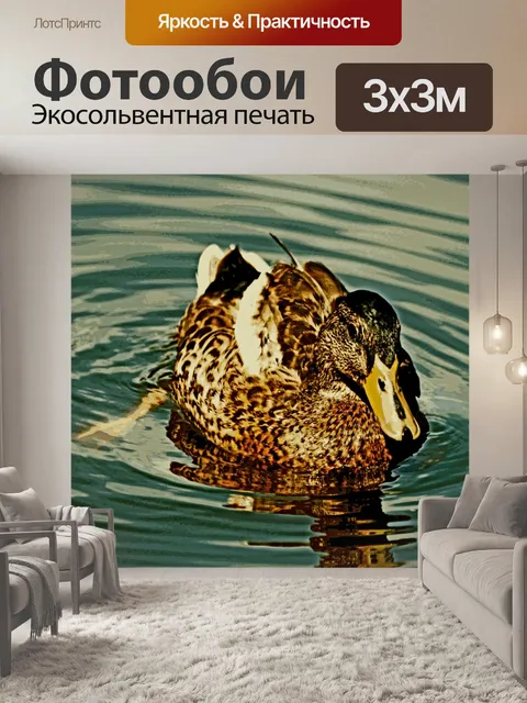 Фотообои Малдарская утка