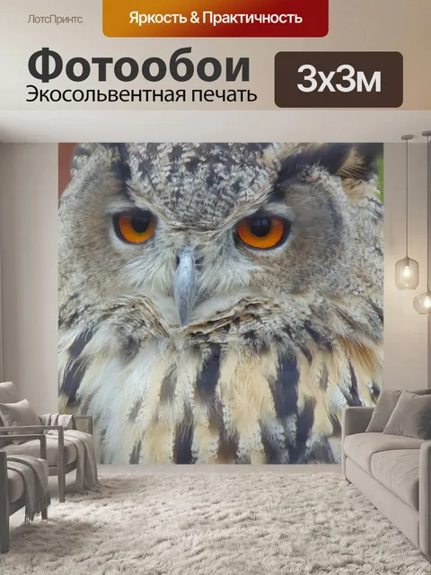 Фотообои Филин