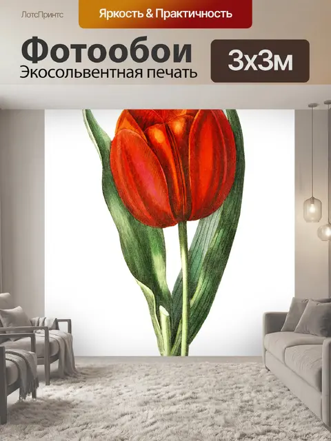 Фотообои Цветок тюльпана цветок искусство