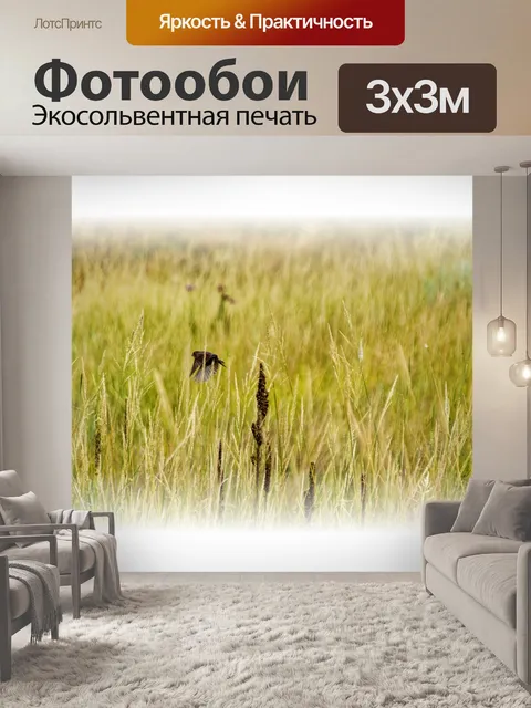 Фотообои полет птицы