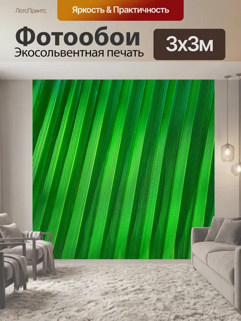 Фотообои Деталь листьев пальмы