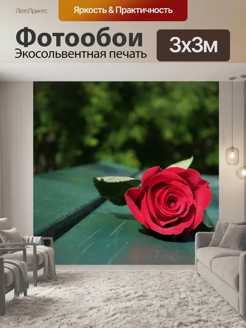 Фотообои Красная роза