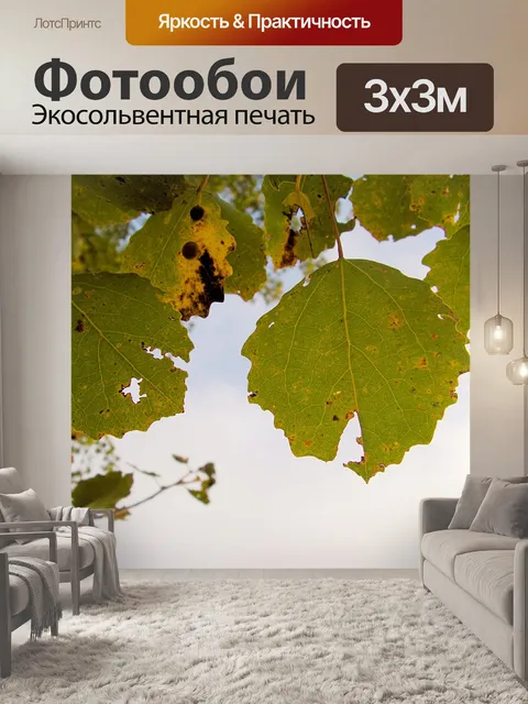 Фотообои Тополь